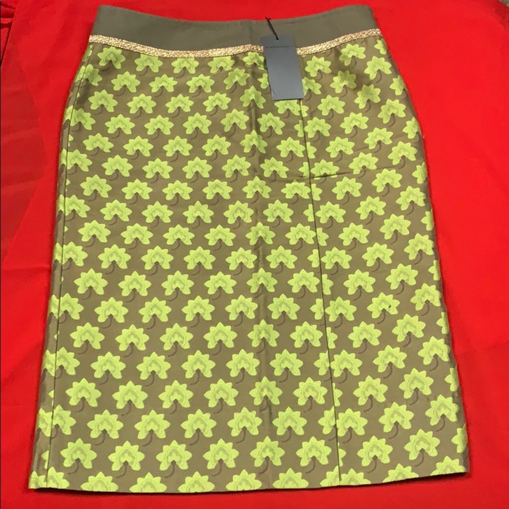 Alberta Ferretti skirt. Beautiful. NWT!
